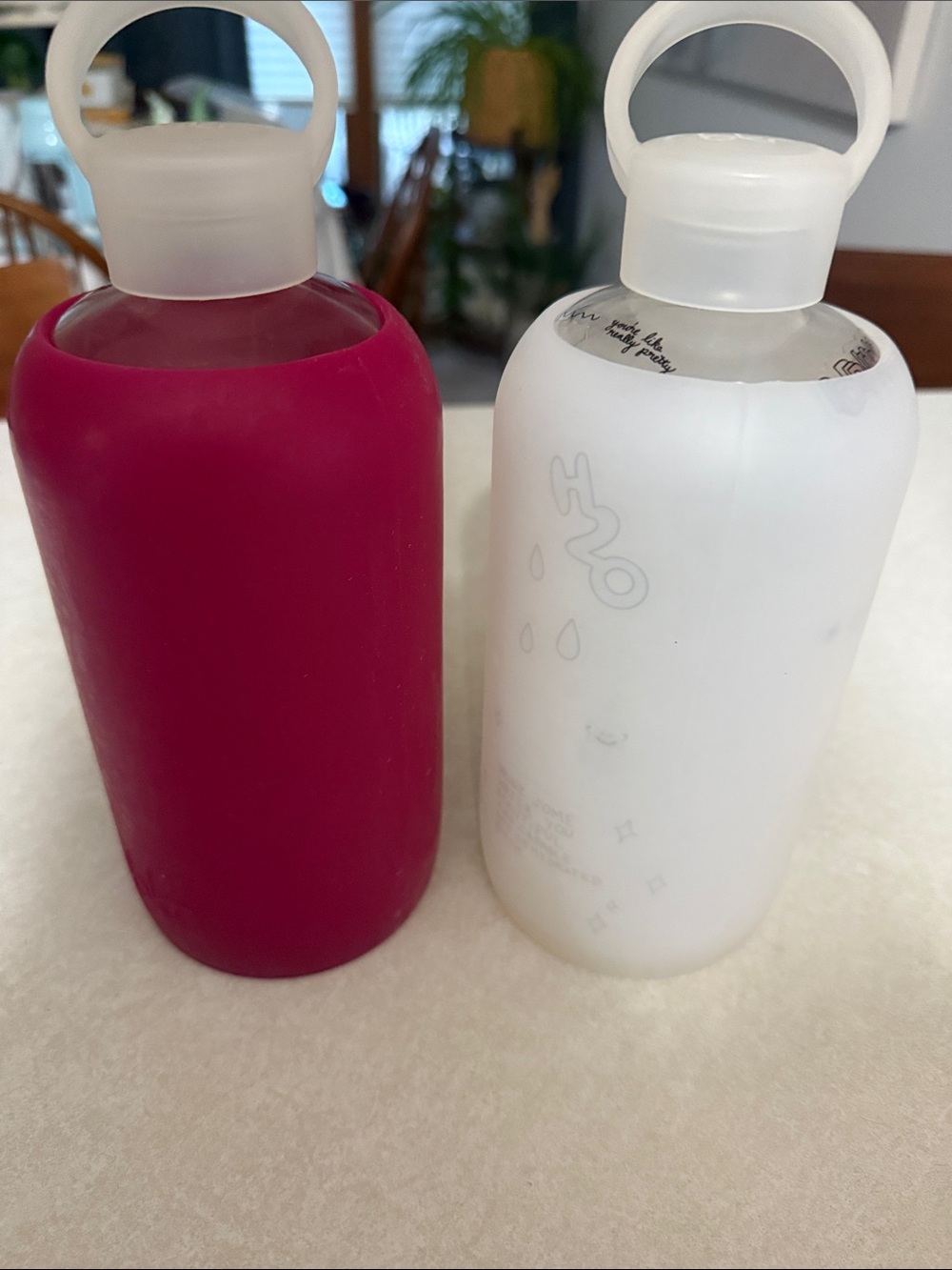 Bkr glass water bottles